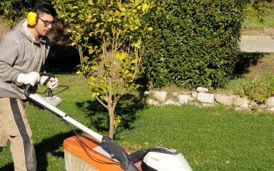 📢 Notre CFA recrute ! 📢