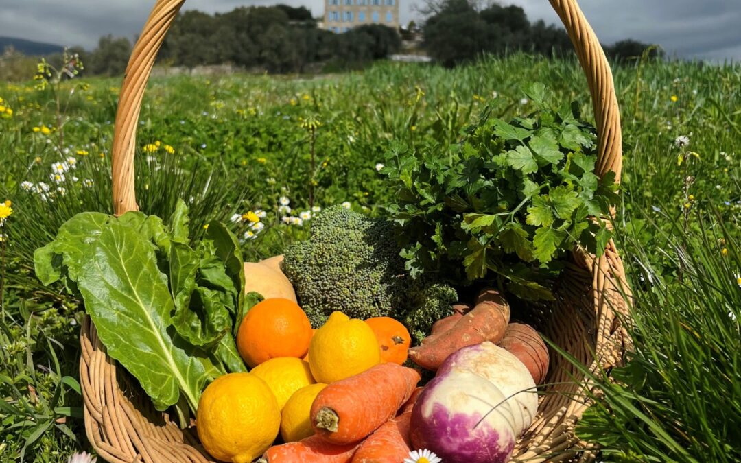 La Bastide : Certifiée BIO ! Venez Découvrir Notre Sélection de Fruits et Légumes Frais